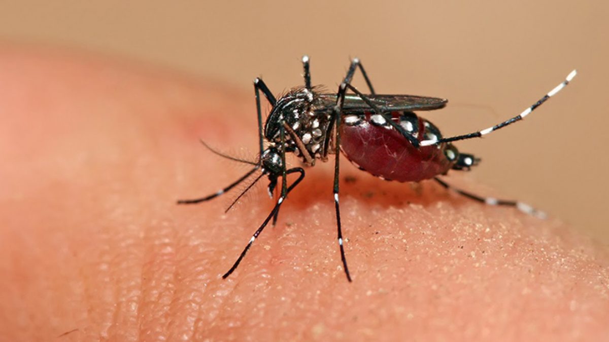 Secretaría de Salud alerta que la automedicación empeora síntomas en casos de dengue
