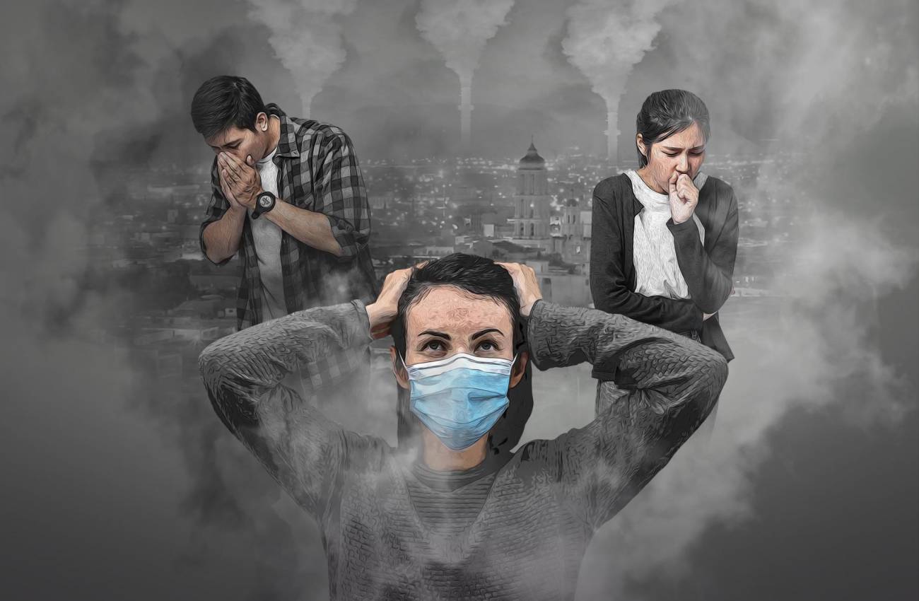 Contaminación aérea provoca daños a  los órganos
