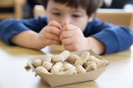 Consumir maní durante la infancia previene su alergia en la adolescencia